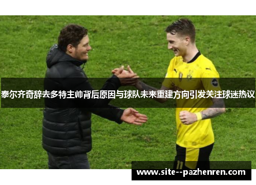 泰尔齐奇辞去多特主帅背后原因与球队未来重建方向引发关注球迷热议
