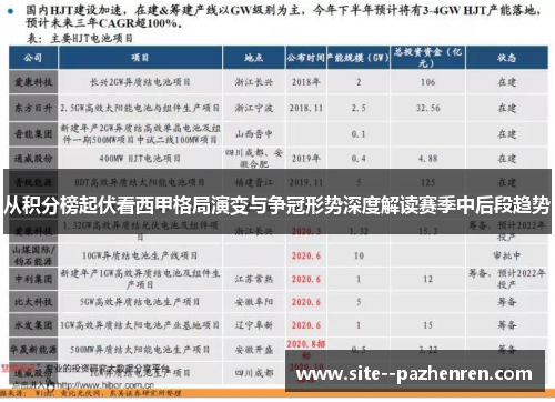 从积分榜起伏看西甲格局演变与争冠形势深度解读赛季中后段趋势