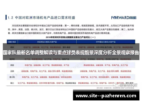国家队最新名单调整解读与重点球员表现前景深度分析全景观察报告