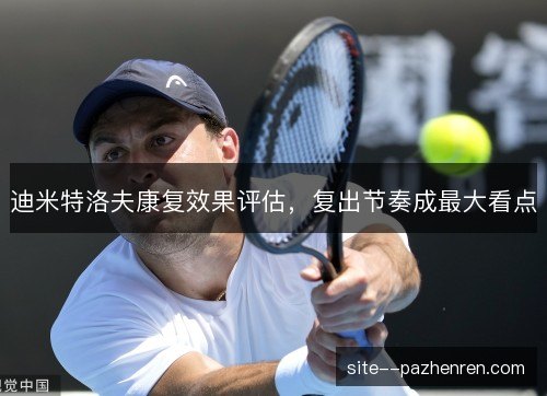 迪米特洛夫康复效果评估，复出节奏成最大看点
