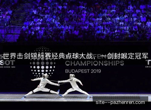 世界击剑锦标赛经典点球大战,一剑封喉定冠军 世界击剑锦标赛经典点球大战,一剑封喉定冠军